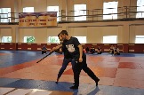 DSC_3908.jpg